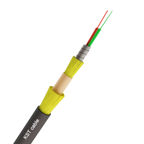 Duplex double sheath armored cable